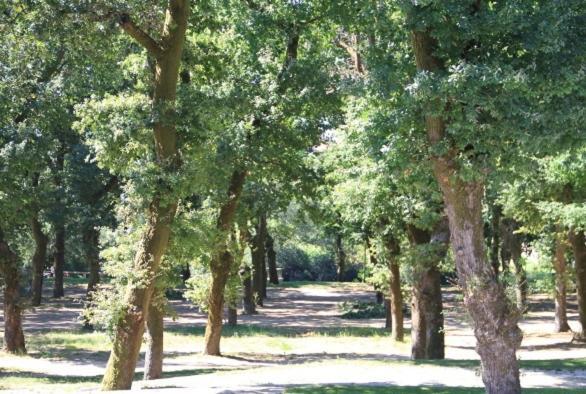 Alojamiento A Tafona Caldas De Reis Bagian luar foto
